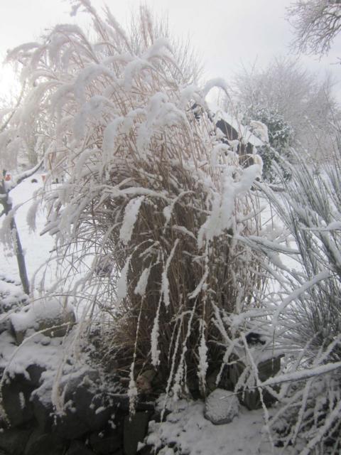 Winterdienst1