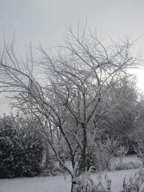Winterdienst2