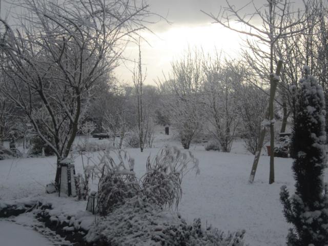 Winterdienst5