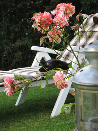 Sample Photo Sample Photo
